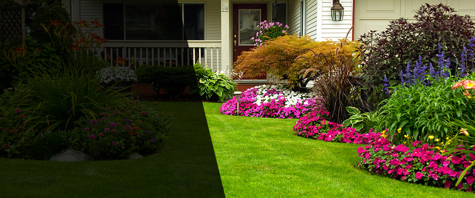 Stevenson Ranch Landscapers