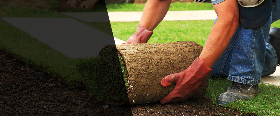 Stevenson Ranch Landscapers